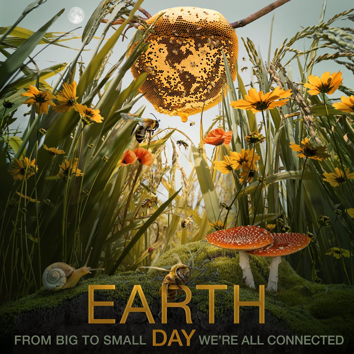 Happy Earth Day - 2021