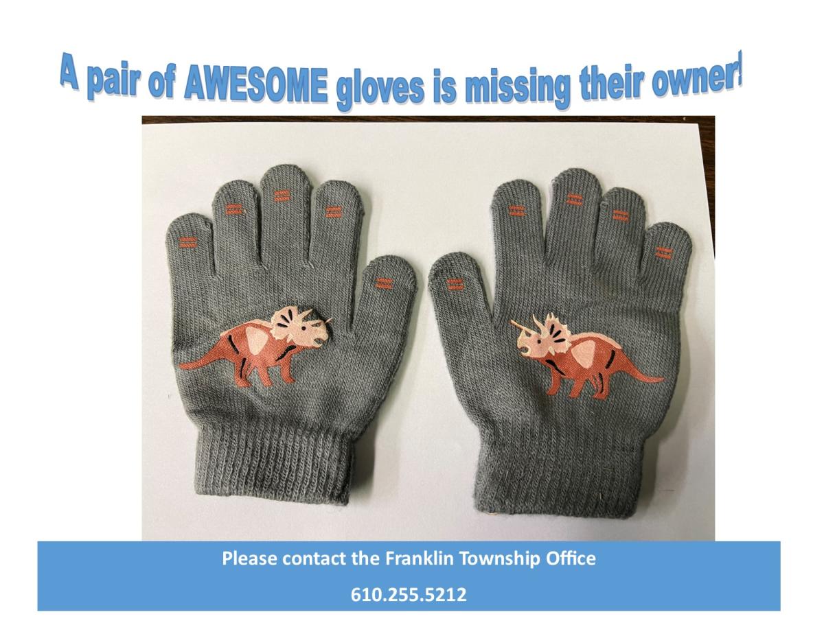 Lost &amp; Found - Pair of Children's Gloves at Crossan Park