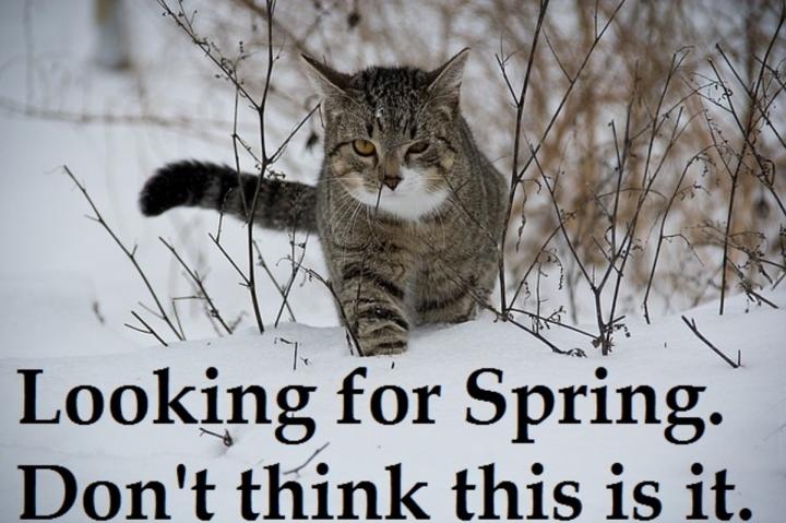 Are you ready for Spring?